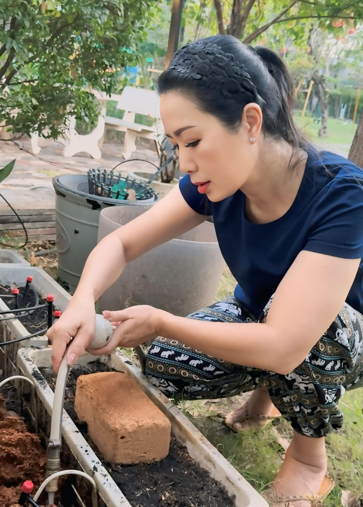 Mới đây, NSND Trịnh Kim Chi hào hứng chia sẻ khoảnh khắc lao động trong khu vườn thu hút sự chú ý của khán giả. Ảnh: FB Trịnh Kim Chi