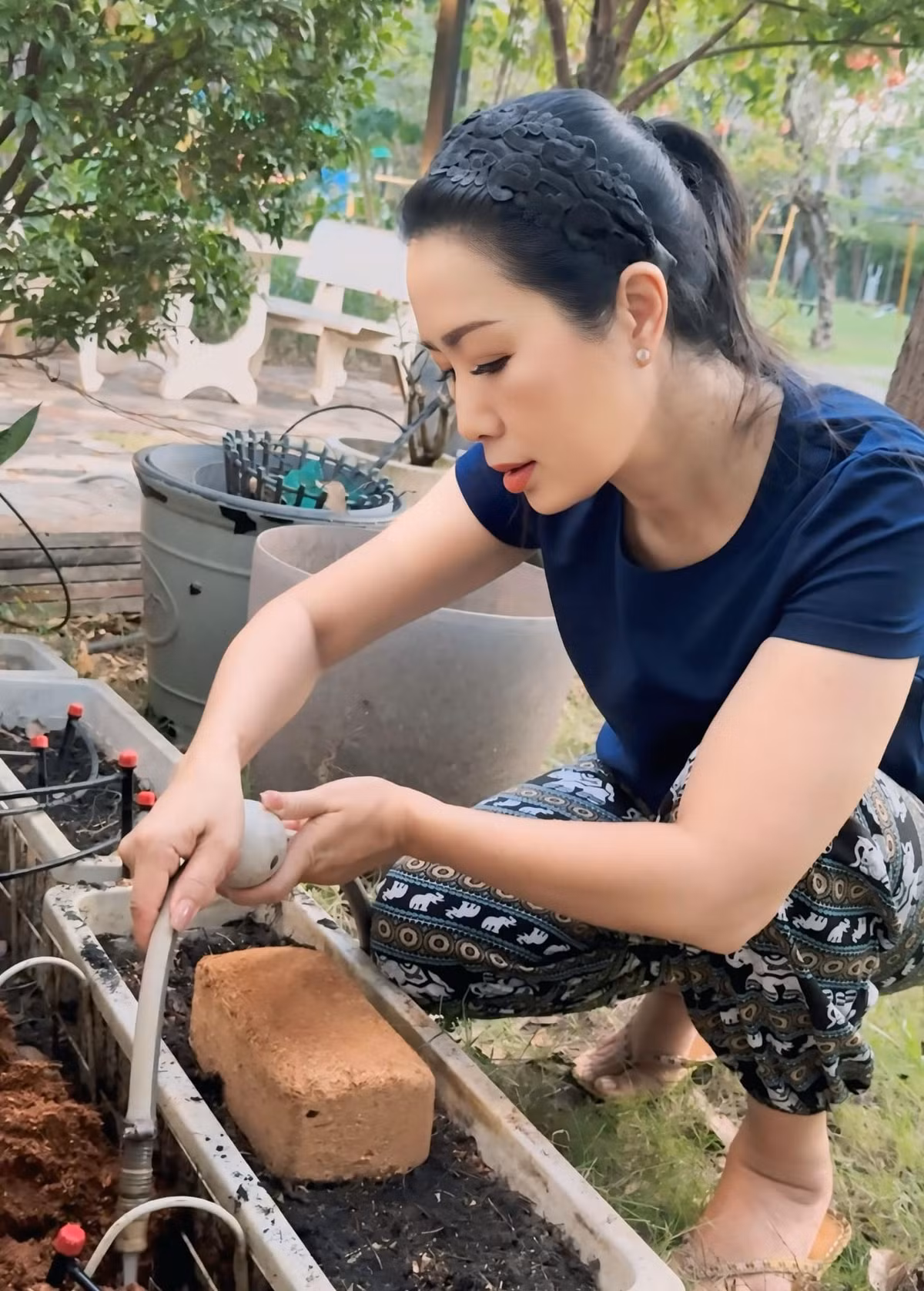 Mới đây, NSND Trịnh Kim Chi hào hứng chia sẻ khoảnh khắc lao động trong khu vườn thu hút sự chú ý của khán giả. Ảnh: FB Trịnh Kim Chi
