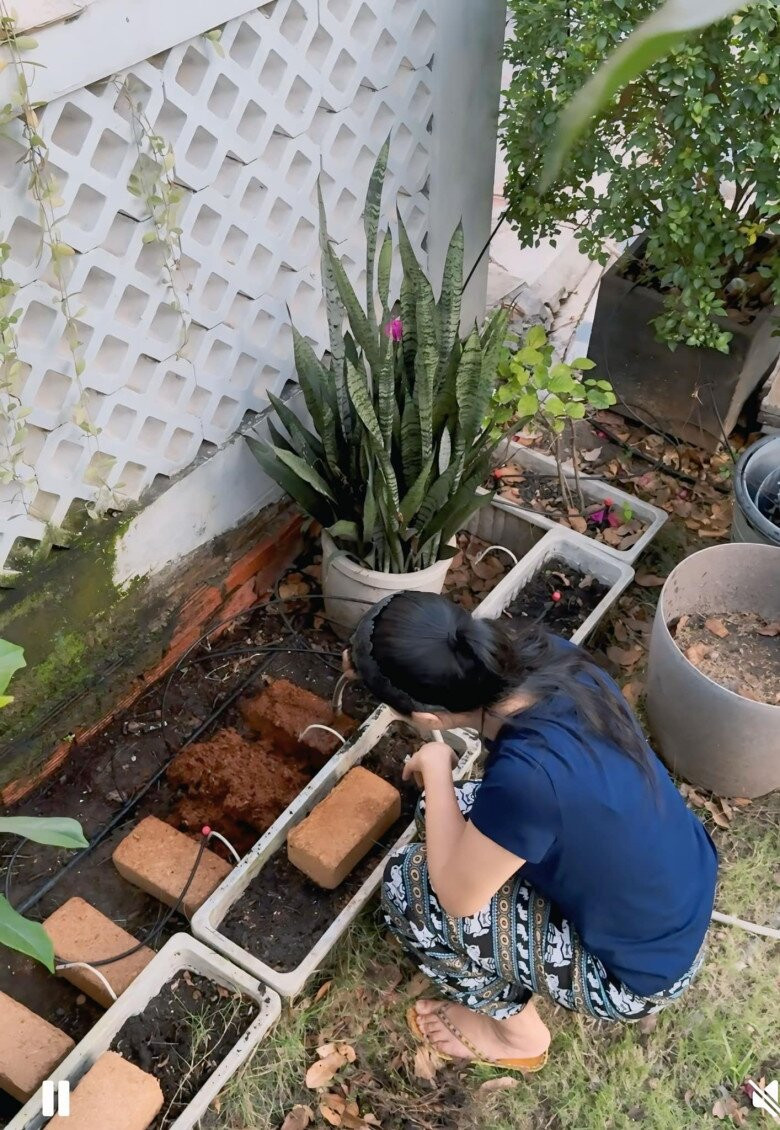 Qua hình ảnh có thể thấy khu vườn trong biệt thự của NSND Trịnh Kim Chi rất rộng, thoáng đãng, lối đi lát đá xen cỏ xanh tạo cảm giác bình yên. Ảnh: FB Trịnh Kim Chi