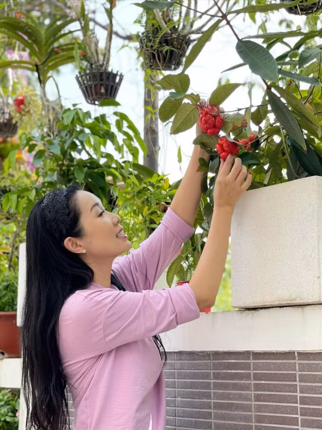 Từ vườn đến cổng đều ngập tràn cây và hoa. Ảnh: FB Trịnh Kim Chi