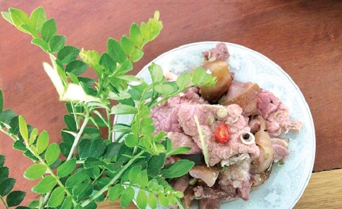 Dù chỉ là cây bụi, mọc hoang dại ở đồi núi song ít ai biết lá của cây có thể làm thành gia vị cho nhiều món ăn. Ảnh: Internet