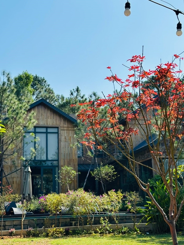 Đây là nơi vợ chồng nam nghệ sĩ nghỉ dưỡng, đón tiếp bạn bè và được sử dụng để kinh doanh nghỉ dưỡng. Ảnh: Baophunuthudo