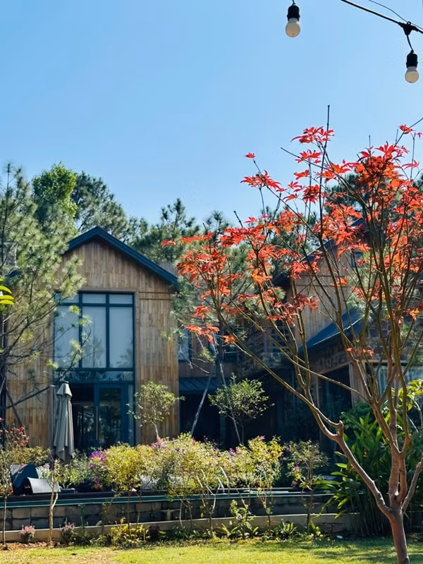 Đây là nơi vợ chồng nam nghệ sĩ nghỉ dưỡng, đón tiếp bạn bè và được sử dụng để kinh doanh nghỉ dưỡng. Ảnh: Baophunuthudo