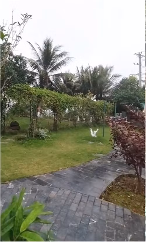 Con đường lát đá mộc mạc uốn lượn giữa thảm cỏ xanh mướt. Ảnh chụp màn hình