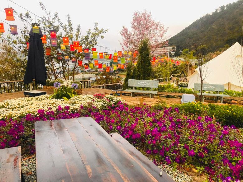 Đủ các loại hoa đua nhau khoe sắc. Ảnh: FBNV