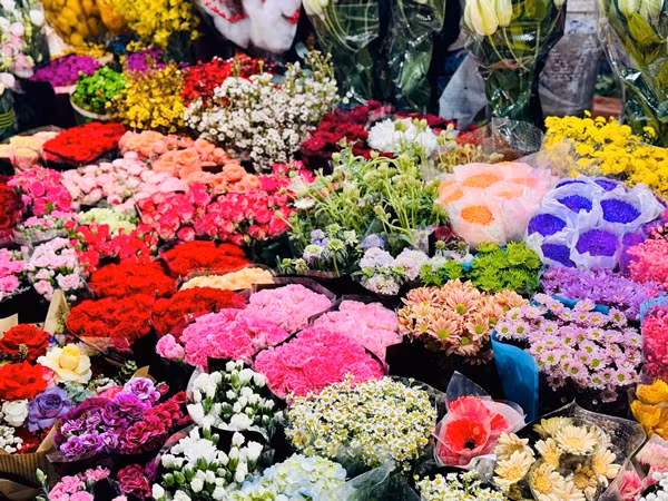 Những ngày cuối năm, thị trường cây cảnh Tết 2025 tại Hà Nội trở nên sôi động và hơn bao giờ hết. Ảnh: Suckhoedoisong