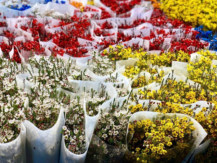 Hoa thanh liễu xuất xứ từ Trung Quốc dao động từ 100.000 - 300.000 đồng/bó, tùy thuộc vào kích thước, chất lượng. Ảnh: Suckhoedoisong