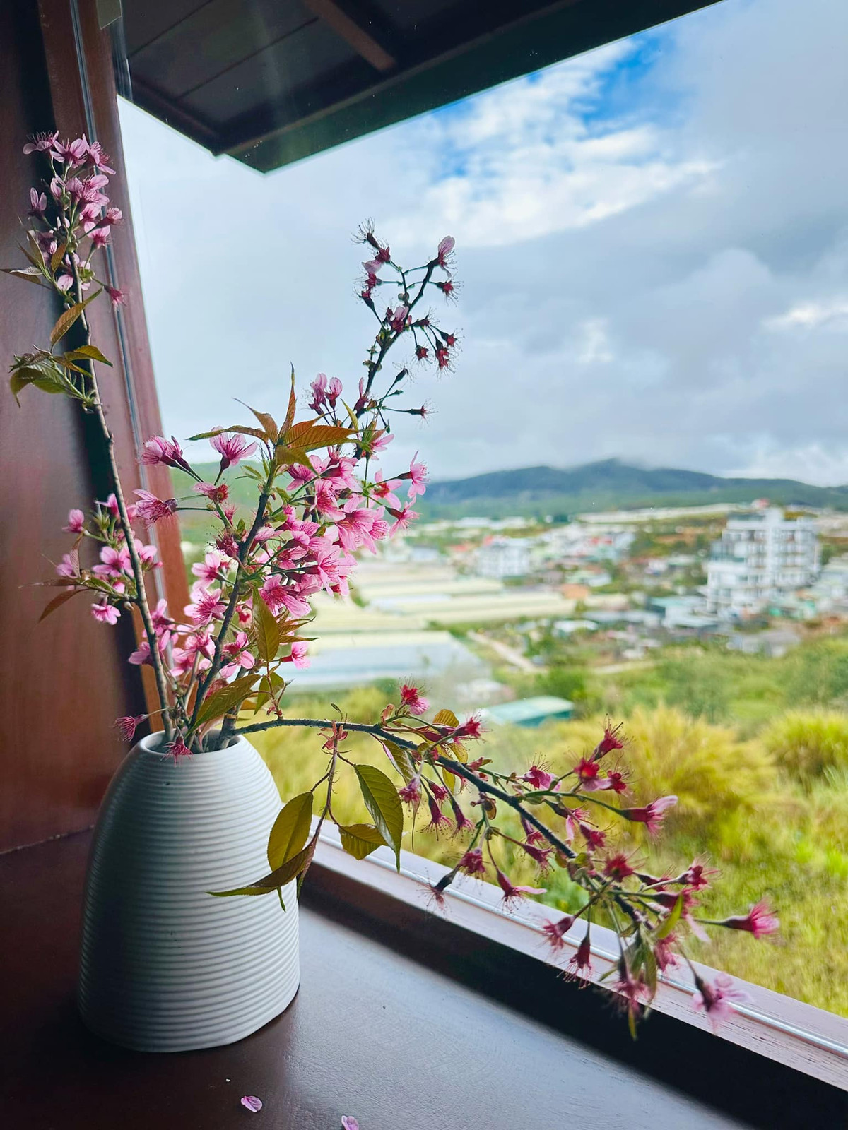 Góc nào trong nhà cũng được tô điểm bởi những bình hoa xinh xắn. Ảnh: FB Bùi Đại Nghĩa