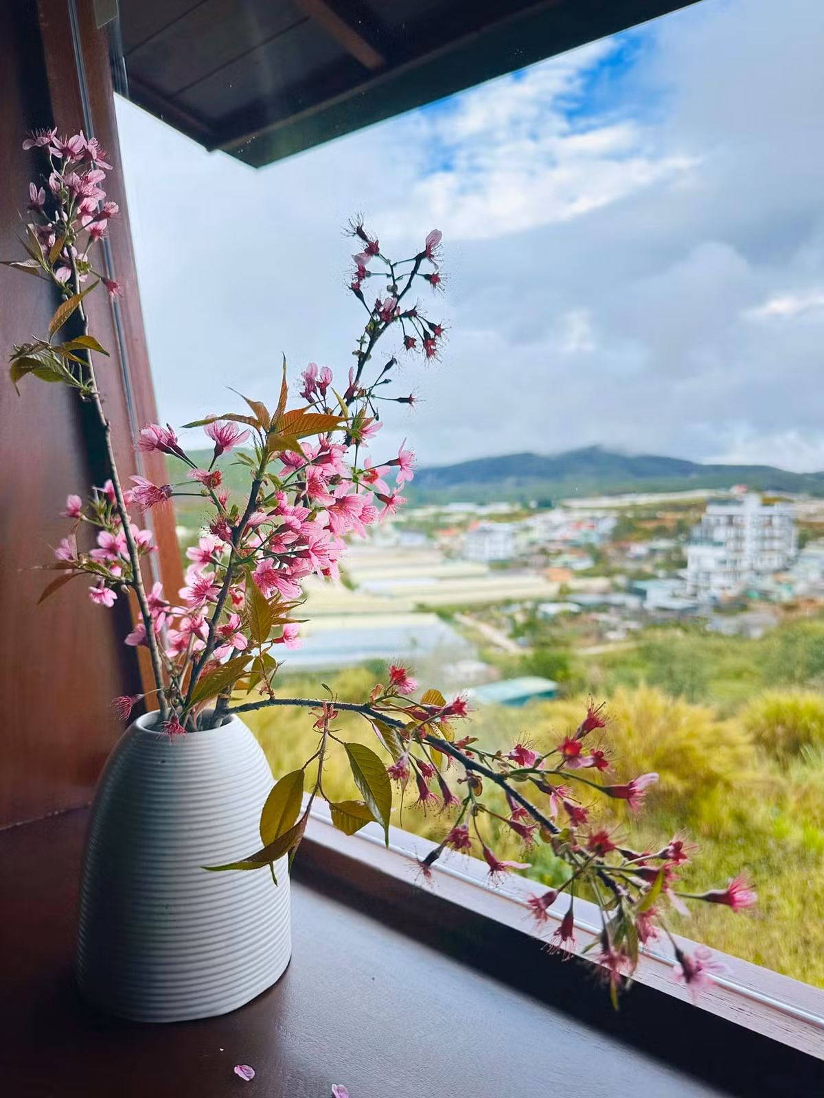 Góc nào trong nhà cũng được tô điểm bởi những bình hoa xinh xắn. Ảnh: FB Bùi Đại Nghĩa