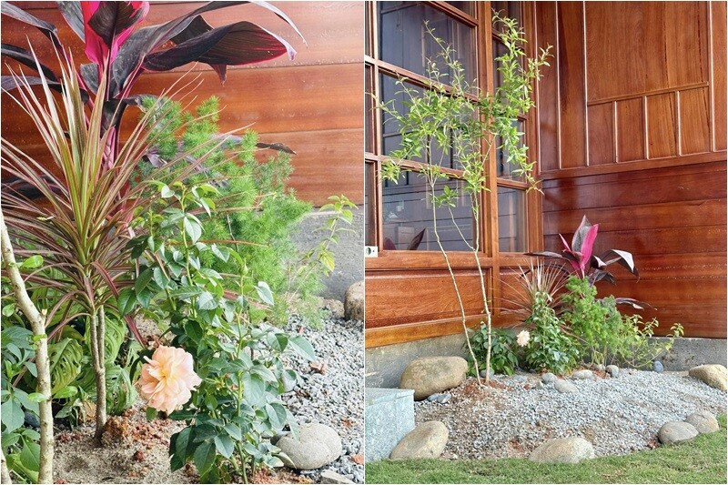 Bên ngoài, khu vườn của MC Đại Nghĩa được sắp xếp gọn gàng, xinh xắn. Ảnh: FB Bùi Đại Nghĩa