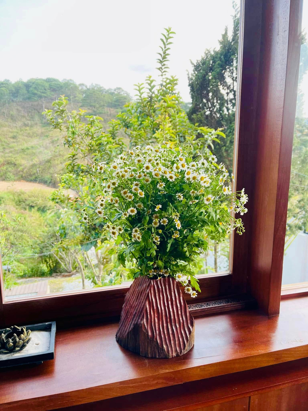 Từ cửa sổ có thể ngắm nhìn khung cảnh núi đồi thơ mộng. Ảnh: FB Bùi Đại Nghĩa