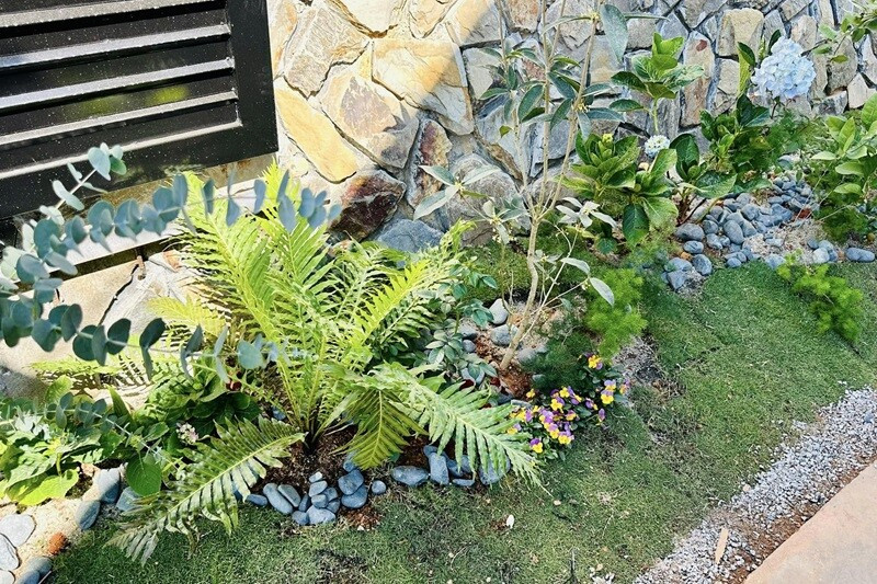 Sỏi trắng và xám rải tự nhiên. Ảnh: FB Bùi Đại Nghĩa