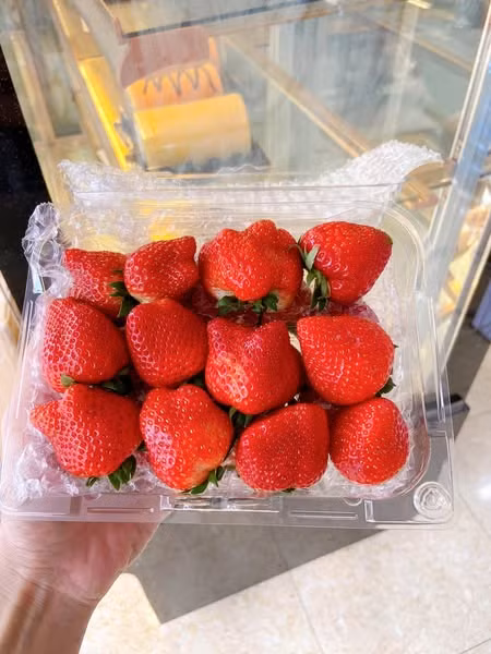 Dâu tây Sơn La được trồng vào khoảng tháng 9-10; thu hoạch từ tháng 12 năm trước đến giữa tháng 4 năm sau. Tháng 1-3 là thời gian cây cho quả ngon và chất lượng nhất. Ảnh: Facebook