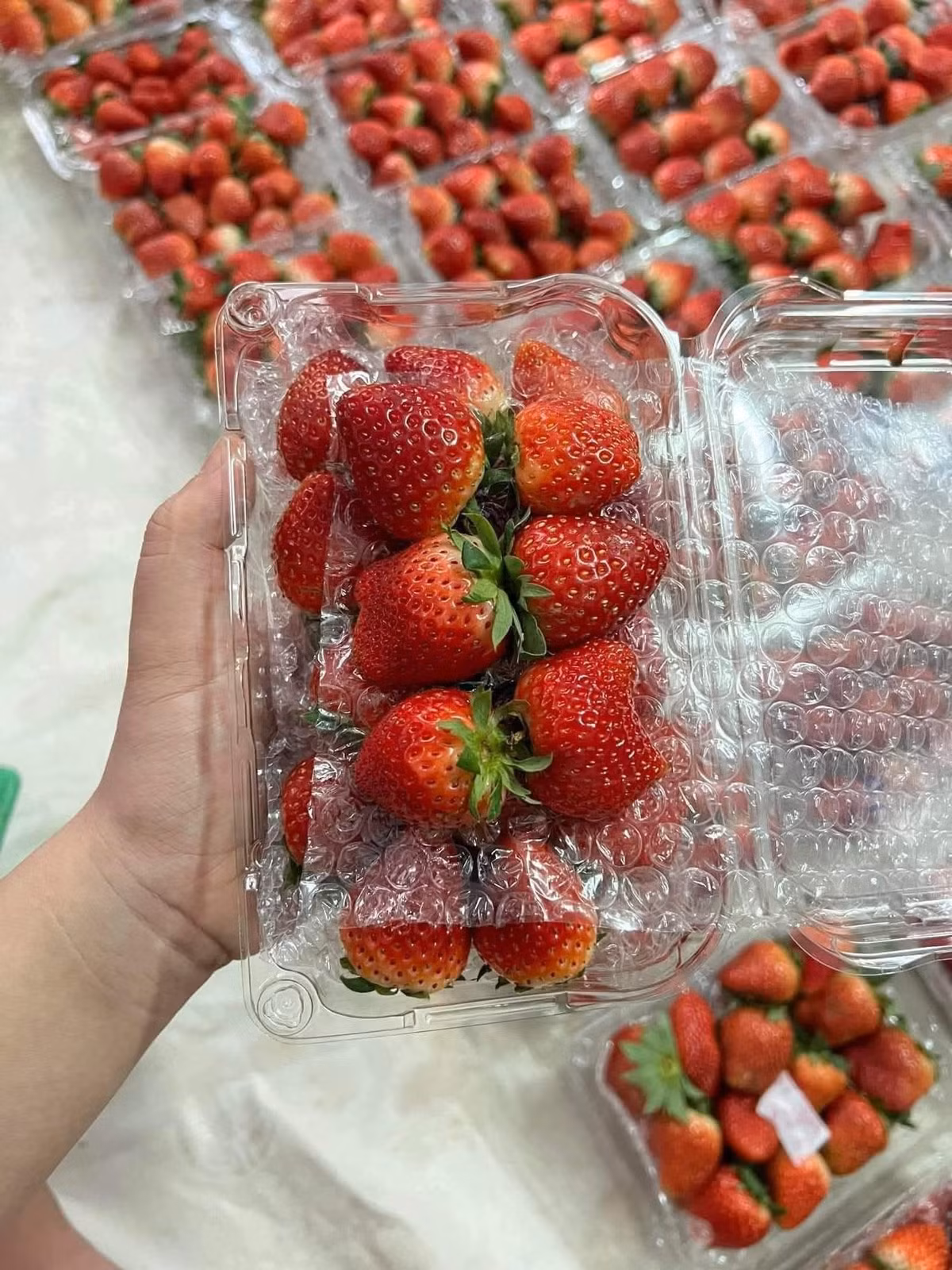 Vừa đặt mua 2kg dâu tây bi với giá 75.000 đồng/kg, chị Loan (Cầu Giấy, Hà Nội) cho biết: "Bọn trẻ con nhà tôi rất thích dâu tây Mộc Châu nhưng đợt trước giá cao nên tôi chưa dám mua. Nay giá hạ hơn nhiều nên tôi tranh thủ mua kẻo hết mùa". Ảnh: FB Phuong Linh