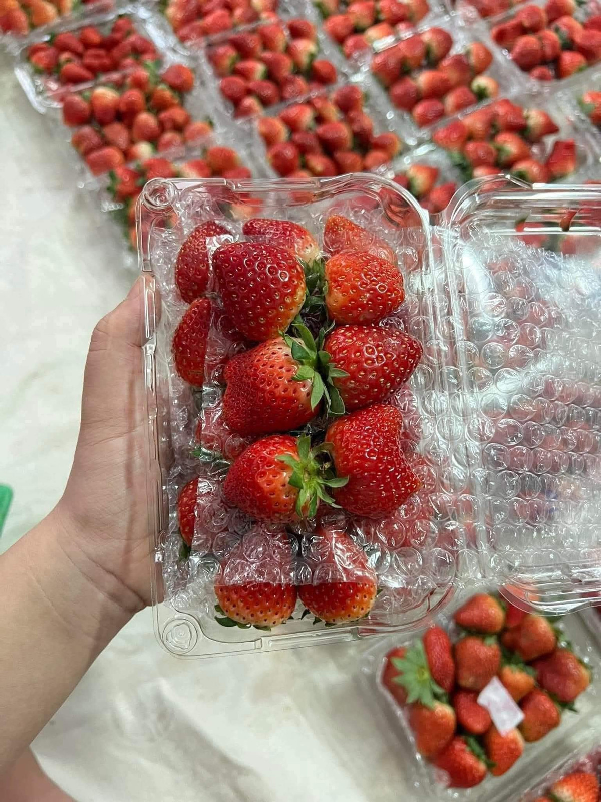 Vừa đặt mua 2kg dâu tây bi với giá 75.000 đồng/kg, chị Loan (Cầu Giấy, Hà Nội) cho biết: "Bọn trẻ con nhà tôi rất thích dâu tây Mộc Châu nhưng đợt trước giá cao nên tôi chưa dám mua. Nay giá hạ hơn nhiều nên tôi tranh thủ mua kẻo hết mùa". Ảnh: FB Phuong Linh