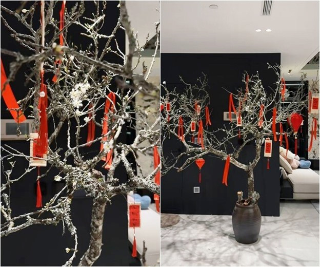 Cành mận đặt trong chiếc chum sành đơn giản nhưng cuốn hút. Ảnh chụp màn hình