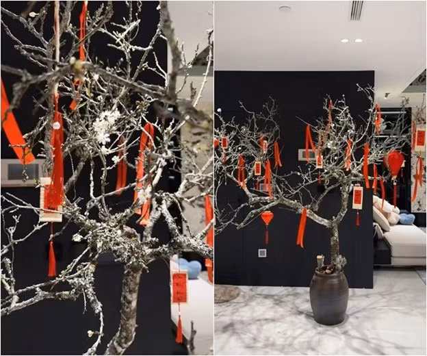 Cành mận đặt trong chiếc chum sành đơn giản nhưng cuốn hút. Ảnh chụp màn hình