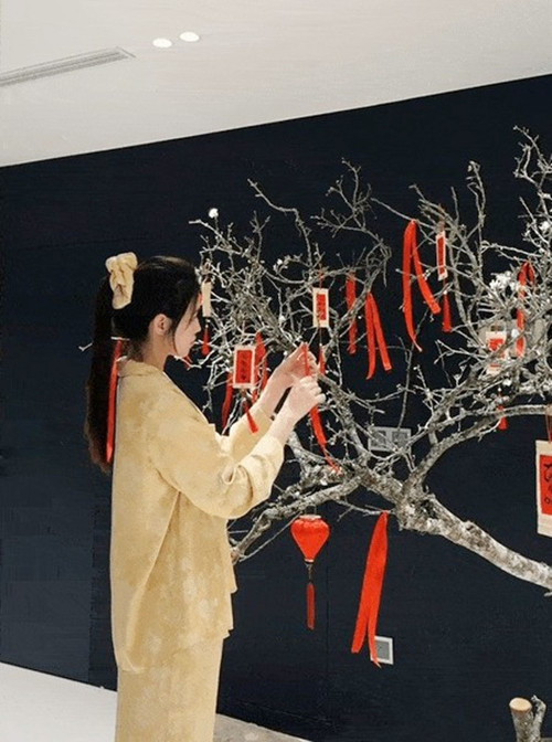 Dịp Tết vừa qua, Hoa hậu Đỗ Thị Hà mua cành mận trông như "củi khô" về và cẩn thận tưới nước. Ảnh chụp màn hình