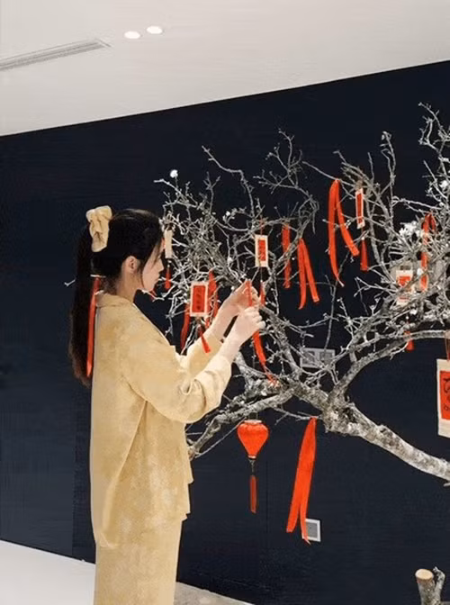 Dịp Tết vừa qua, Hoa hậu Đỗ Thị Hà mua cành mận trông như "củi khô" về và cẩn thận tưới nước. Ảnh chụp màn hình