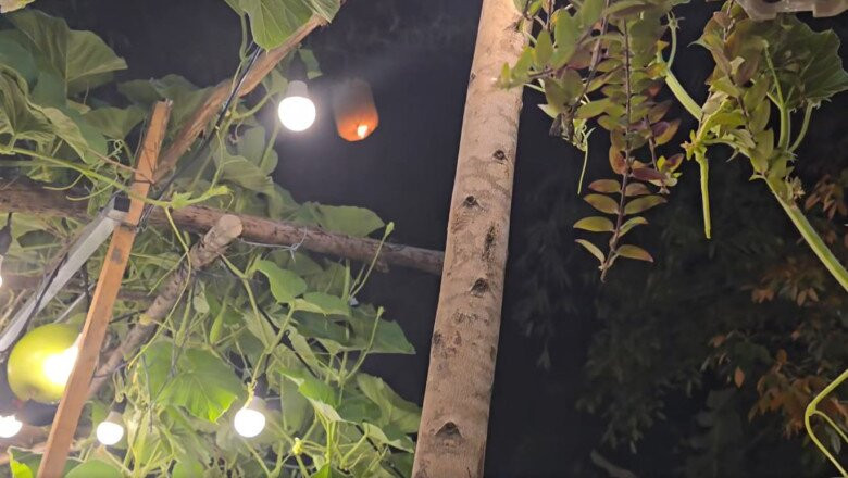 Đèn được giăng sáng khắp nơi giúp không gian thêm phần lung linh. Ảnh: chụp màn hình