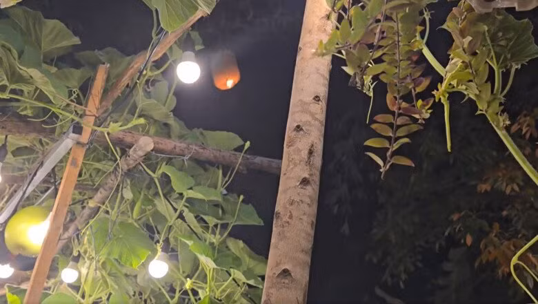 Đèn được giăng sáng khắp nơi giúp không gian thêm phần lung linh. Ảnh: chụp màn hình