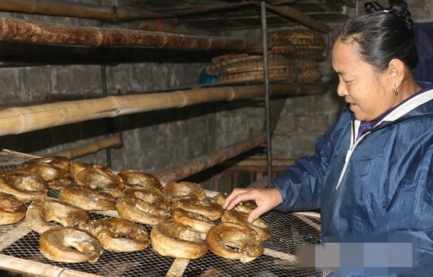 Sau khi xông, cá thửng ngả màu vàng ươm rất ngon mắt. Một mẻ cá được xông trong khoảng 10 phút. Ảnh: Báo Nghệ An