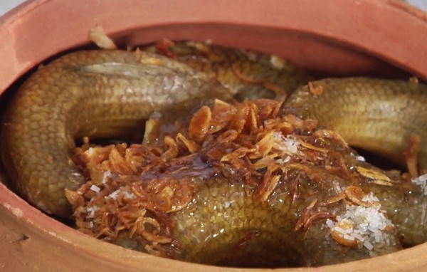 Cá thửng có thể chế biến thành nhiều món nhưng phổ biến nhất là cá thửng kho cùng mật mía, hành tăm, nước mắm ngon, thêm vài lát ớt. Ảnh: VTC14