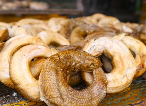 Nhiều khách du lịch thích thú đặt mua vì cá thửng thơm ngon, hình dáng độc đáo, đặc biệt còn để được rất lâu, càng kho càng ngon. Ảnh: Tiền phong