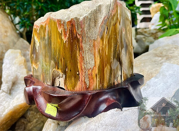 Trong quá trình này, khoáng chất như thạch anh, opal và canxedon thẩm thấu vào mao mạch gỗ, thay thế dần cấu trúc hữu cơ ban đầu. Qua đó, biến gỗ thành đá với độ cứng cao, chỉ đứng sau kim cương. Ảnh: Nhasan