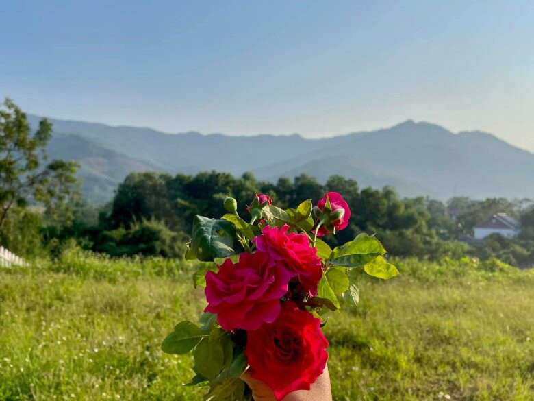 Trước đó, BTV Diễm Quỳnh từng chia sẻ hình ảnh cảnh quê yên bình, hoa nở cắt từ vườn nhà. Ảnh: FB Dang Diem Quynh