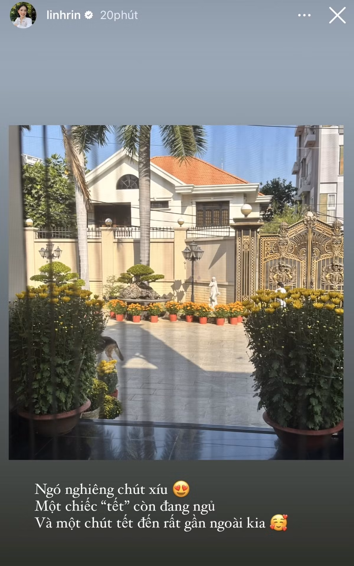 Chỉ nhìn khoảng sân, cánh cổng và tường rào cũng phần nào hình dung được biệt thự Linh Rin đang ở bề thế cỡ nào. Ảnh: FBNV