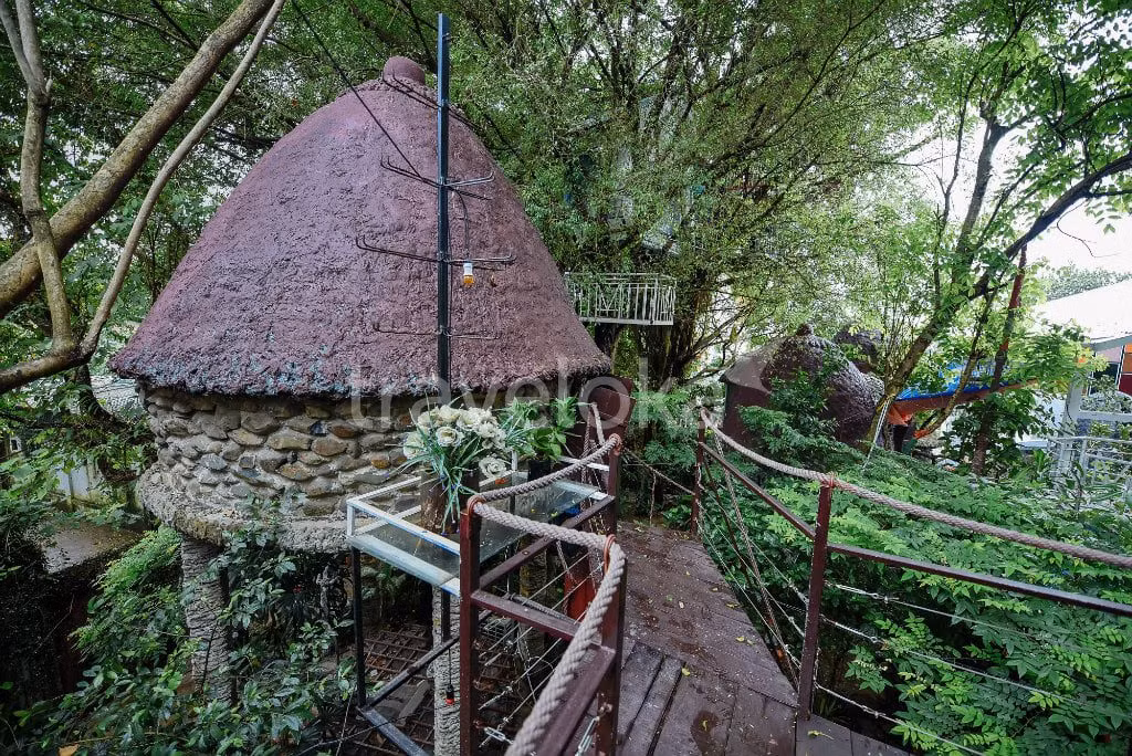 Nằm tại phường Ngọc Thuỵ, (quận Long Biên, Hà Nội), cách trung tâm TP Hà Nội khoảng 6km, ngôi nhà độc đáo này được họa sĩ Đào Anh Khánh dựng lên trên đỉnh ngọn cây. Ảnh: FB Đào Anh Khánh Tree House