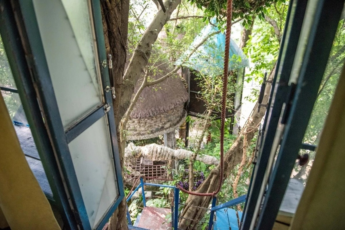 Góc nhìn ngập tràn thiên nhiên từ cửa chính. Ảnh: Znews