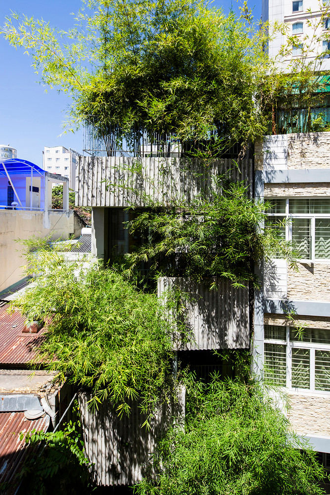 Bamboo House là một dự án nhà ở nhỏ nằm trong một con hẻm hẹp tại TP HCM. Dự án nhằm mục đích phát triển khái niệm "Ngôi nhà cho cây xanh“, một loạt các thiết kế nhà ở nguyên mẫu nhằm mục đích cung cấp không gian xanh trong khu dân cư mật độ cao. Ảnh: Hiroyuki Oki