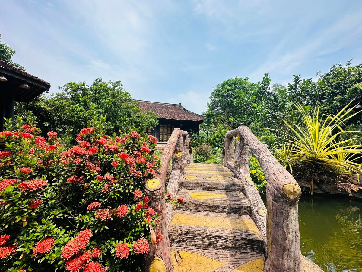 Bên ngoài khuôn viên biệt phủ, nghệ sĩ Hoàng Mập còn đầu tư một hồ cá koi có giá đến 5 tỷ đồng. Ảnh: FB Hoàng Minh Bùi