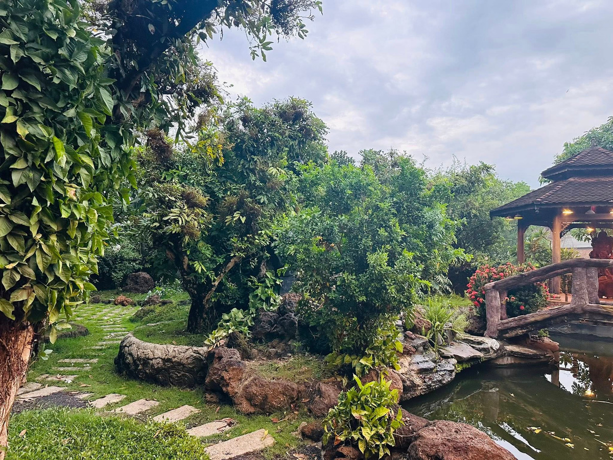 Cây cối xanh tốt, um tùm. Ảnh: FB Hoàng Minh Bùi