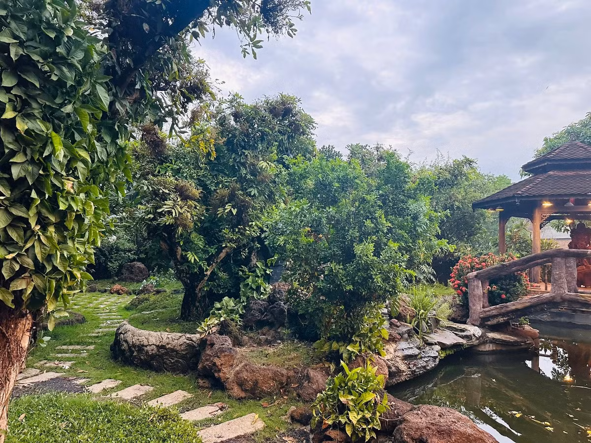 Cây cối xanh tốt, um tùm. Ảnh: FB Hoàng Minh Bùi