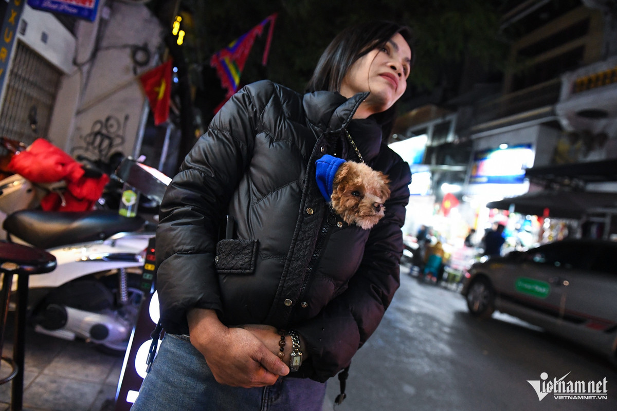 Chú chó Tom được bà chủ cho nằm gọn trong áo khoác, đứng chờ khách ở một cửa hàng trên phố cổ Hà Nội.