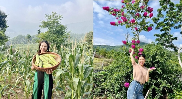 Phạm Phương Thảo cho biết, thổ nhưỡng và khí hậu mát mẻ giúp cây trái trong vườn phát triển nhanh, không cần tưới nước liên tục. Ảnh: FB Phạm Phương Thảo