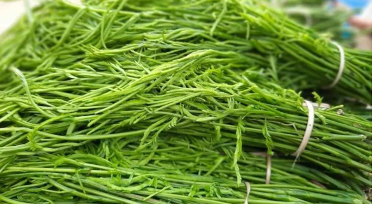 Mặc dù có cái tên khá đặc biệt, rau thối lại là một loại rau rừng rất được ưa chuộng. Ảnh: Facebook
