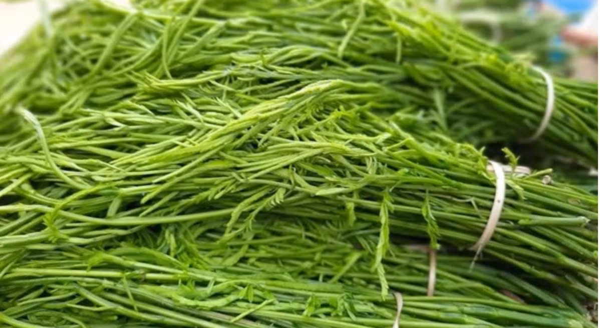 Mặc dù có cái tên khá đặc biệt, rau thối lại là một loại rau rừng rất được ưa chuộng. Ảnh: Facebook
