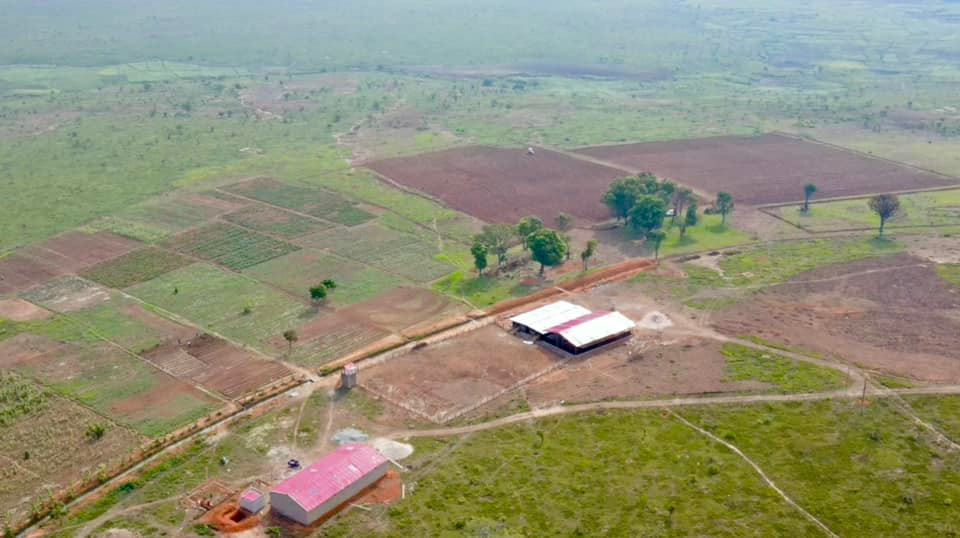 Chàng trai xứ Nghệ dành nhiều tâm huyết cho trang trại, đưa cả máy cắt cỏ từ Việt Nam sang để dọn dẹp, canh tác nhanh hơn. Ảnh: FBNV