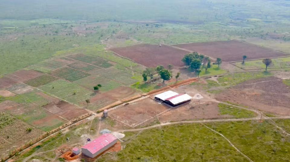 Chàng trai xứ Nghệ dành nhiều tâm huyết cho trang trại, đưa cả máy cắt cỏ từ Việt Nam sang để dọn dẹp, canh tác nhanh hơn. Ảnh: FBNV