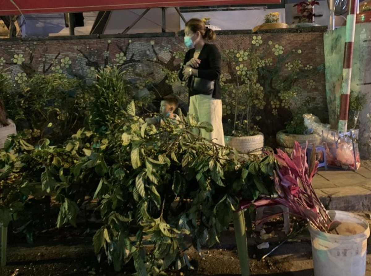 Tận dụng phong tục đi chơi hái lộc đầu xuân, cầu mong 1 năm mới nhiều may mắn, suôn sẻ, nhiều người chọn buôn những cành lộc đẹp về bán trong thời khắc giao thừa.