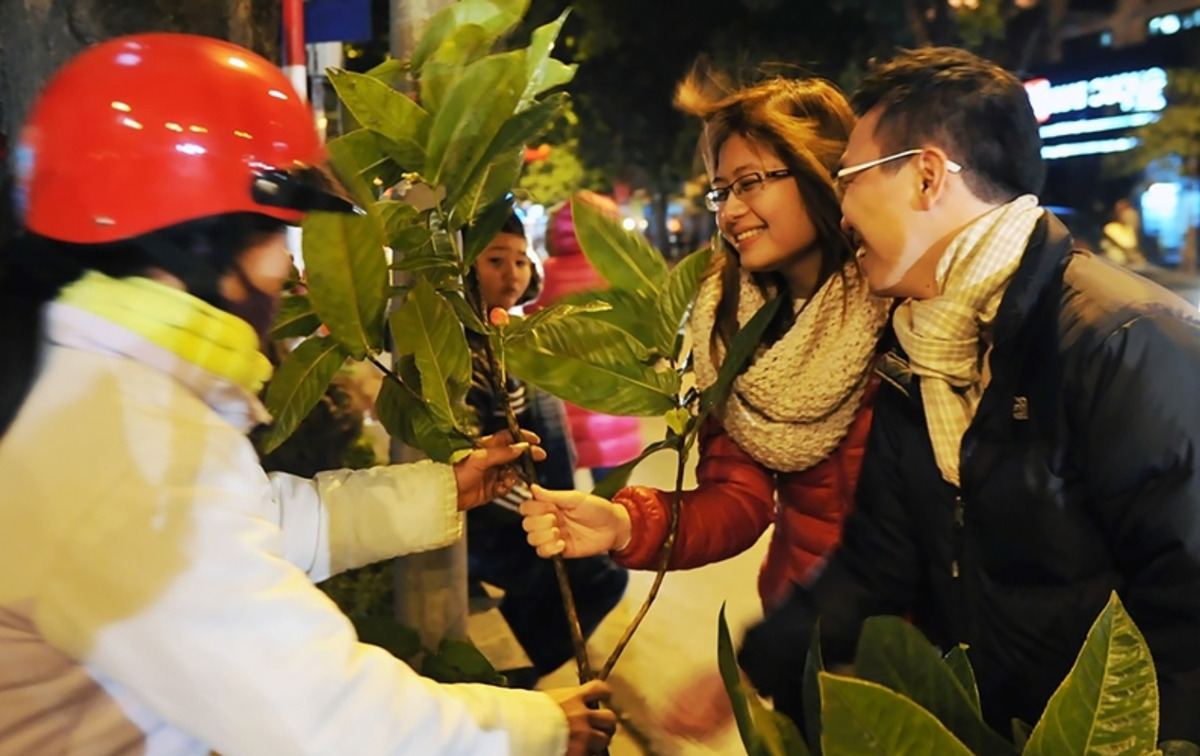 Theo đó, những cành lộc có thể buôn về bán vào dịp này như: cành sung, cành hải đường, cành táo… Khi bán tùy theo khách hàng cũng như độ xấu đẹp, có thể bán ra với giá từ 30 đến 50 ngàn đồng/cành.