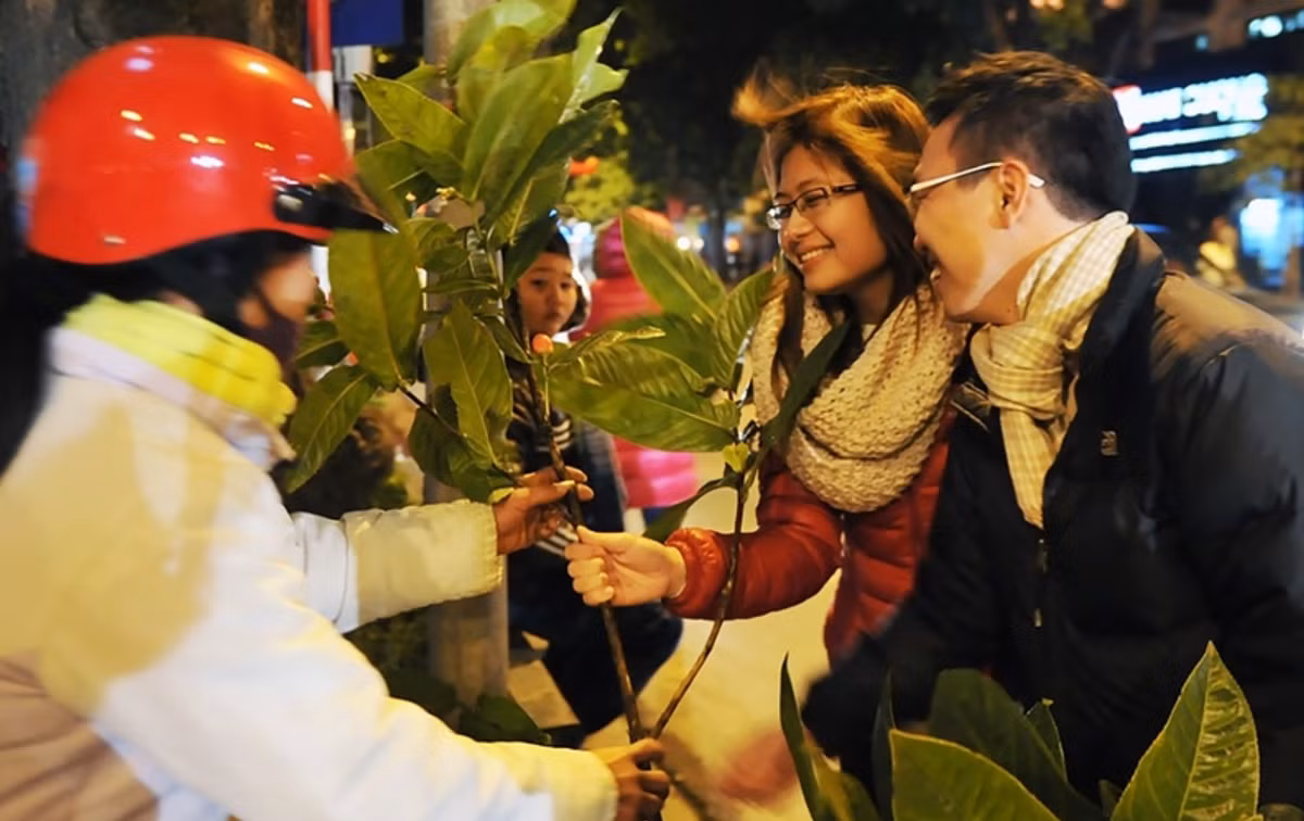 Theo đó, những cành lộc có thể buôn về bán vào dịp này như: cành sung, cành hải đường, cành táo… Khi bán tùy theo khách hàng cũng như độ xấu đẹp, có thể bán ra với giá từ 30 đến 50 ngàn đồng/cành.