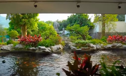 Bác sĩ Hoàng Tuấn thường về về đây 2 lần/tuần để chơi thể thao và nghỉ dưỡng. Ảnh chụp màn hình