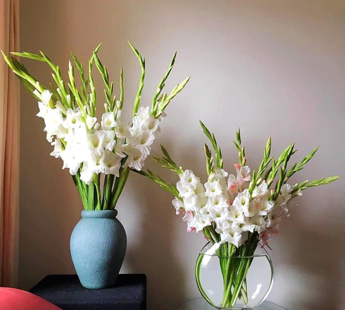 Hoa lay ơn hay còn gọi nhanh là hoa dơn cũng được người Việt lựa chọn vào dịp Tết. Nhiều người tin rằng loài hoa này biểu tượng cho may mắn, phát tài. Trong phong thủy, hoa lay ơn còn được gọi là lan kiếm, có thể trừ tà, xua đuổi những điềm xấu. Ảnh: Internet