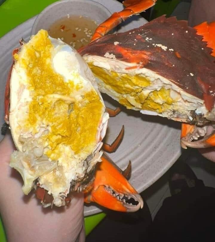 Thời điểm cua chuẩn bị thay vỏ, lớp vỏ ngoài thường rất mỏng. Riêng lớp vỏ bên trong do mới hình thành nên khi ăn có cảm giác bùi bùi, thịt ngọt và gạch béo. Ảnh: Facebook