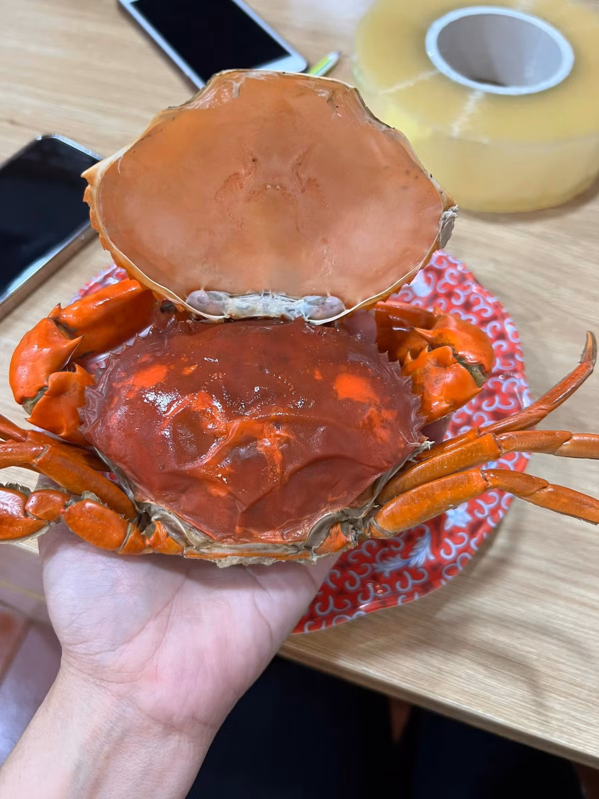 Cua hai da là con cua biển đang trong quá trình lột xác để trưởng thành. Lúc này, vỏ cua cũ vẫn còn dính trên thân, chưa tách ra hoàn toàn. Ảnh: Facebook